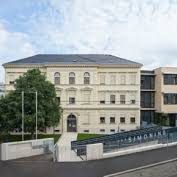 Gruppe von sieben Kindern in Fußballtrikots mit lachenden Emojis und einem Trainer auf dem Feld.